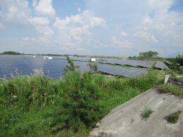 Solar panels in the Philippines surrounded by green grass in a field.